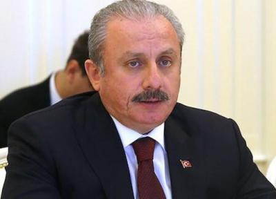 رئیس مجلس ترکیه: گزینه های خرید نظامی ما به آمریکا محدود نیست