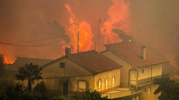 وقوع چندین آتش سوزی طبیعی در سراسر گرجستان