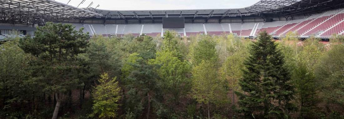 جنگل در استادیوم؛ بزرگترین اثر هنری عمومی اتریش برای تغییرات آب و هوایی