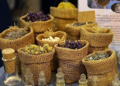 صنایع تبدیلی حوزه گیاهان دارویی در کرمانشاه توسعه می یابد