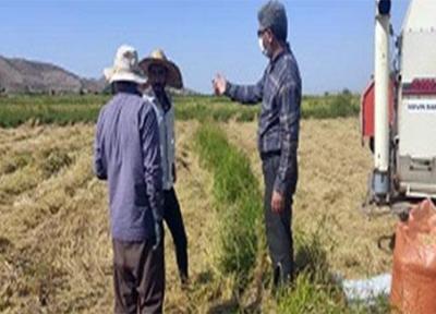 شروع برداشت مکانیزه برنج درشهرستان ?خداآفرین برداشت 2500 تن برنج از اراضی شهرستان خداآفرین