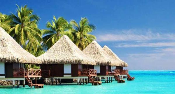 بالی یا مالدیو؟ به کدام جزیره سفر کنیم؟